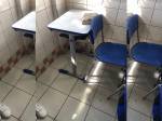 Canavieiras: Colégio segue com aulas em meio a reforma e gera denúncias